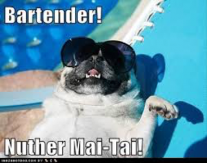 dog mai tai